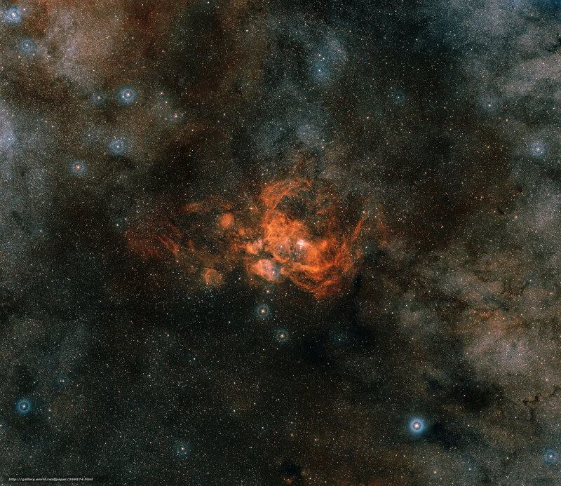 Orion Nebula region