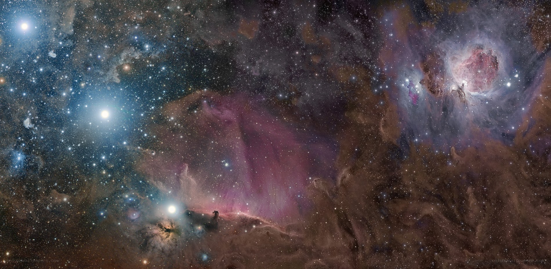 Orion Nebula region