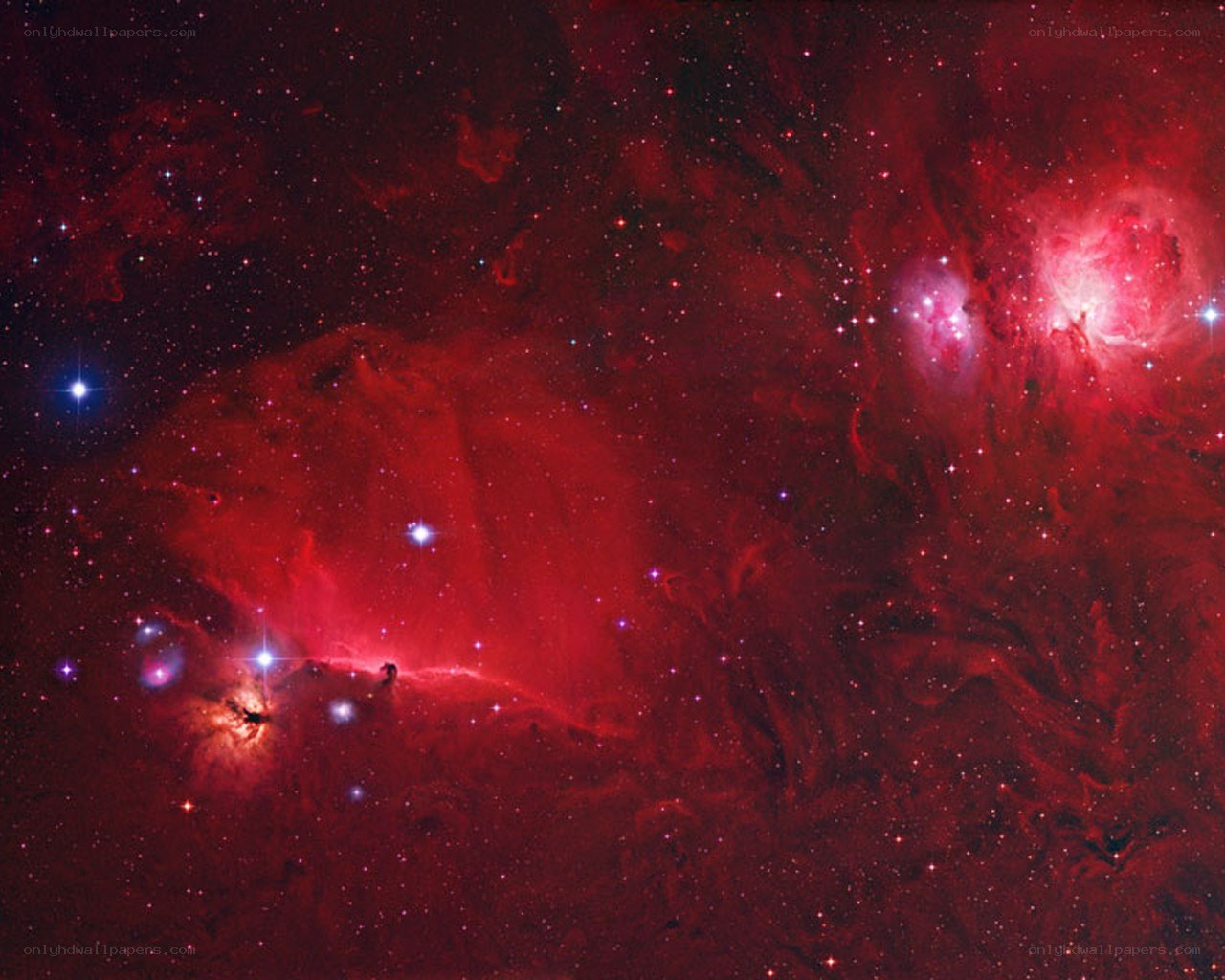 Orion Nebula region
