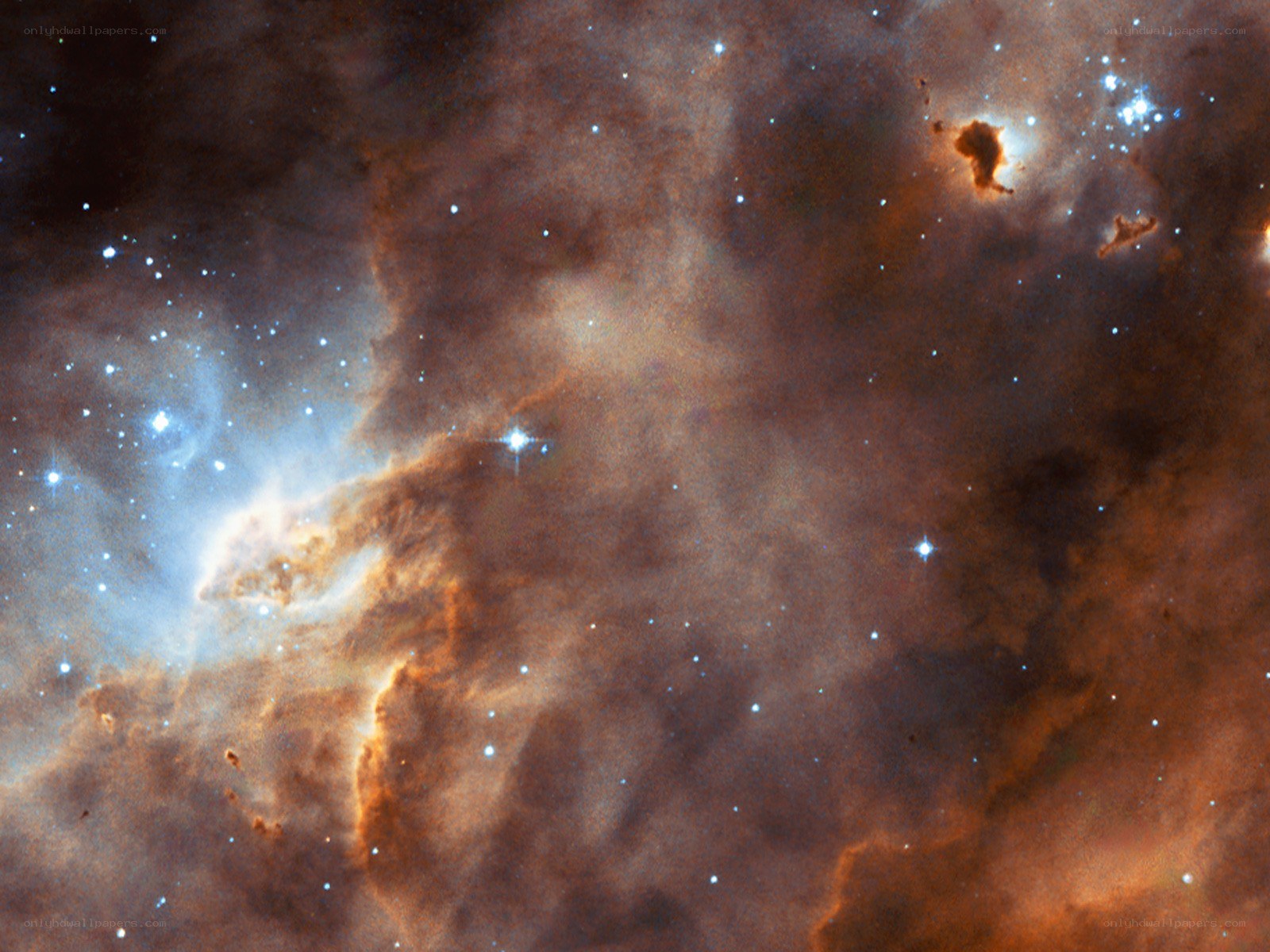 Orion Nebula region