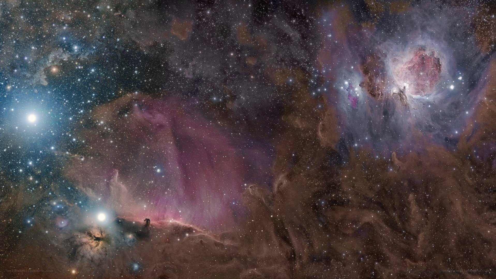 Orion Nebula region