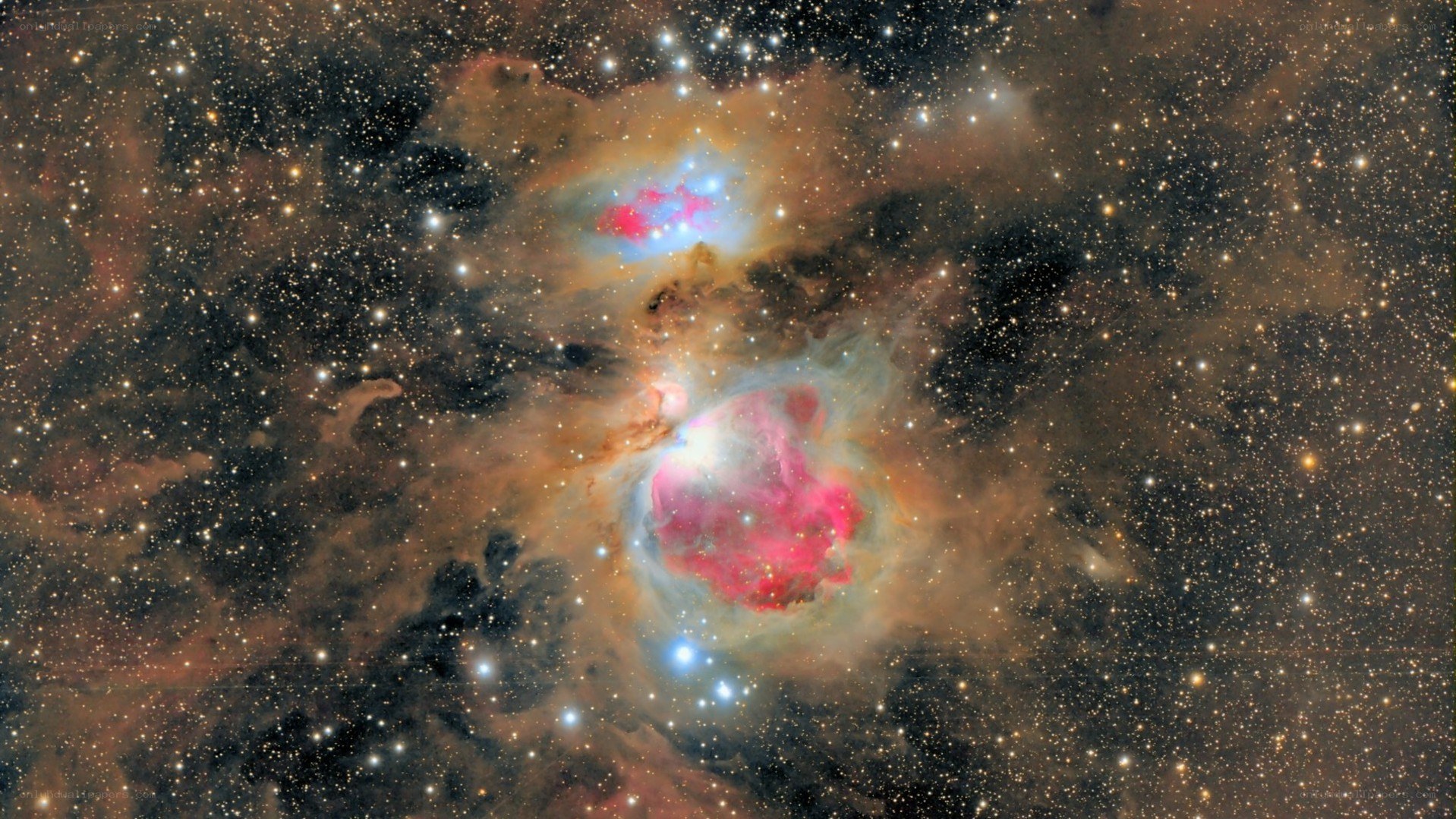 Orion Nebula region