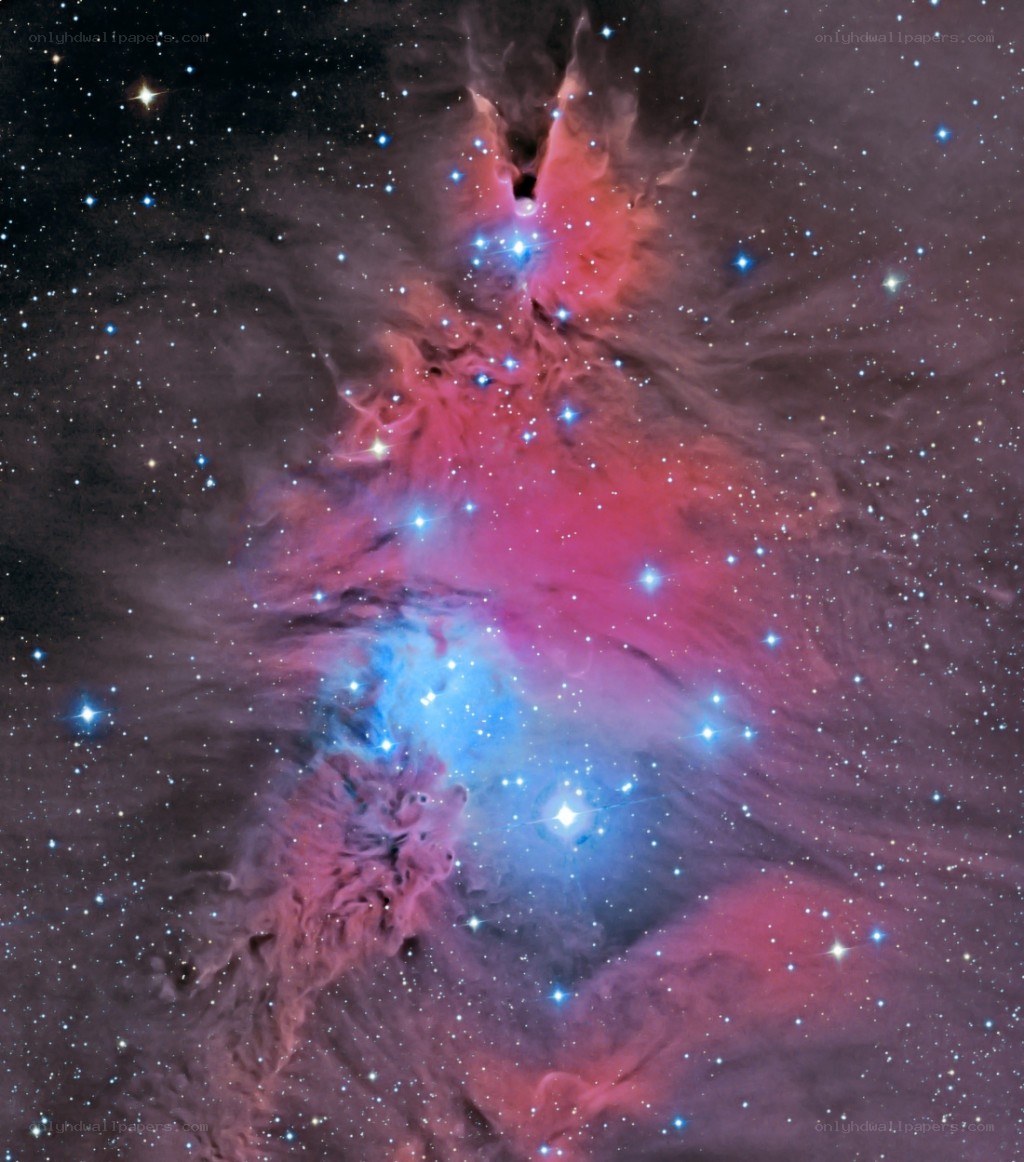Orion Nebula region