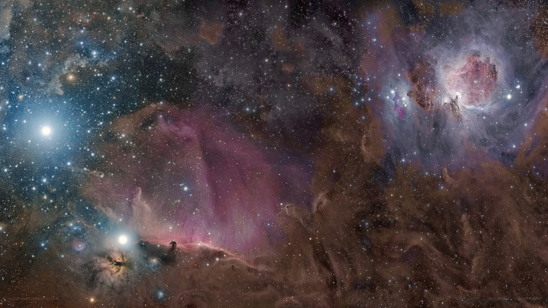 Orion Nebula region