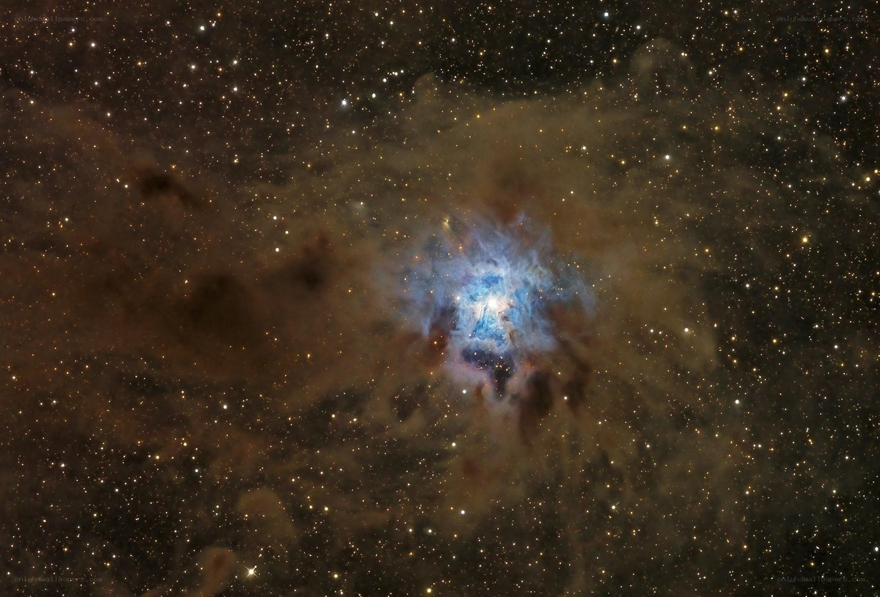 Orion Nebula region