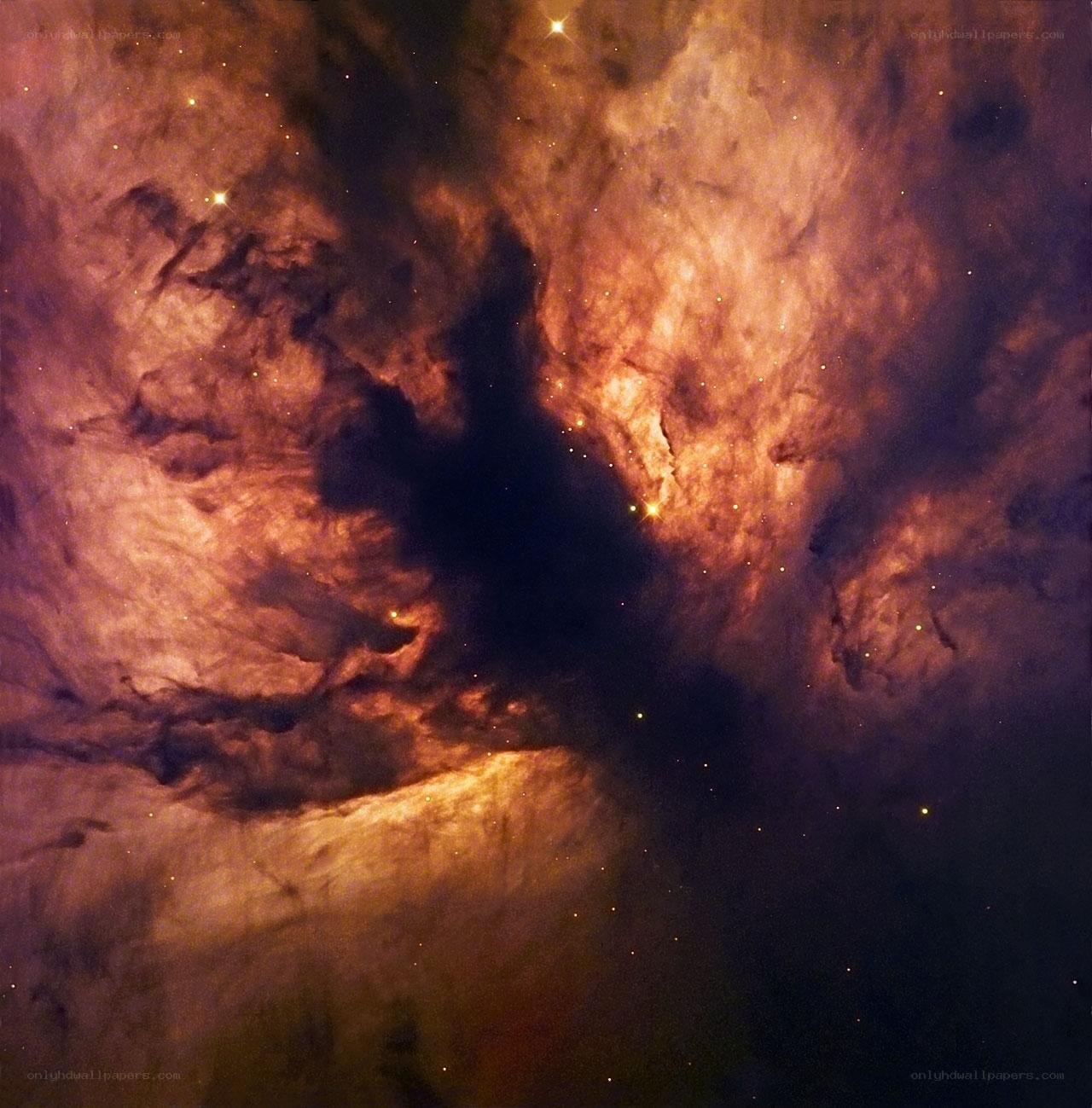 Orion Nebula region