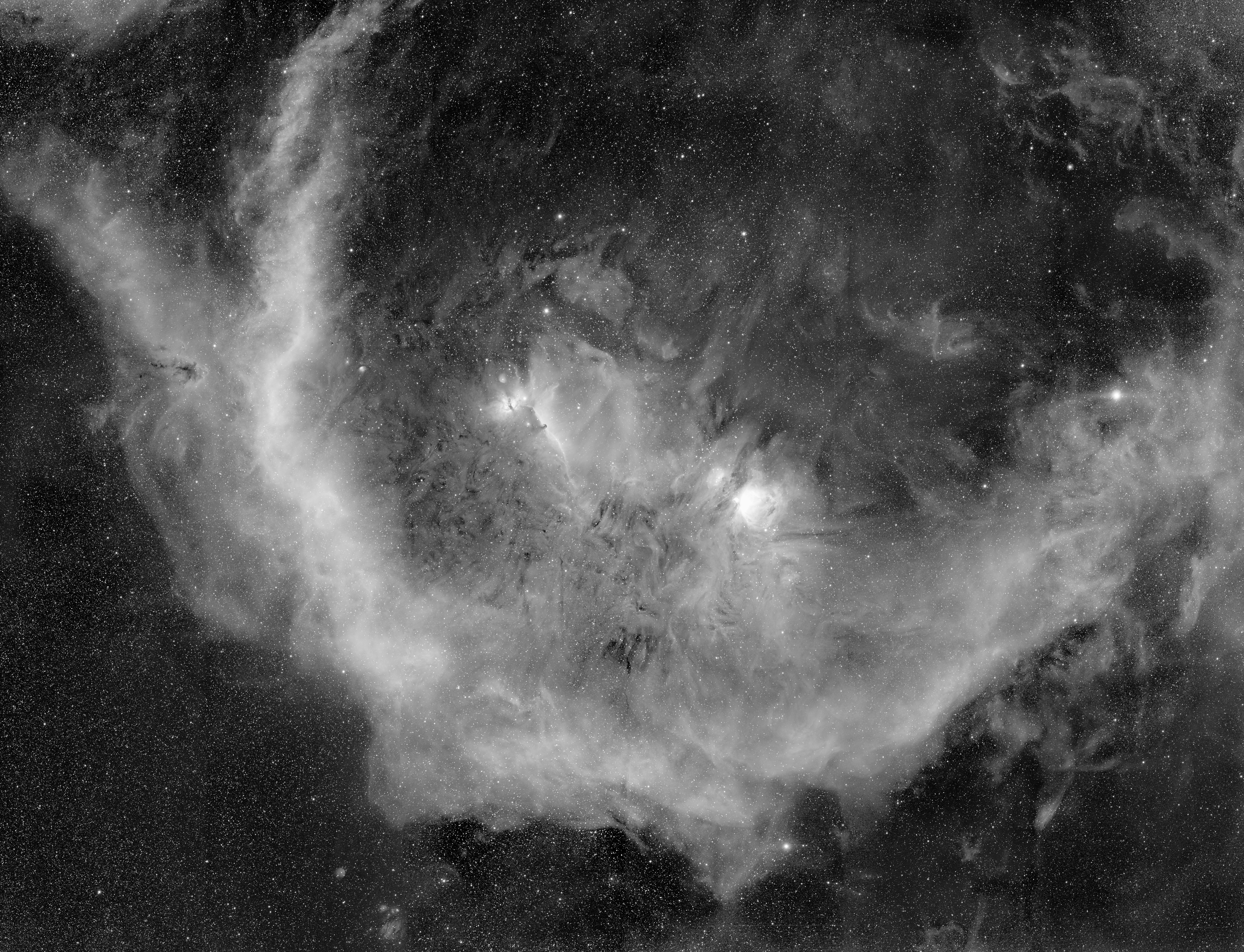 Orion Nebula region