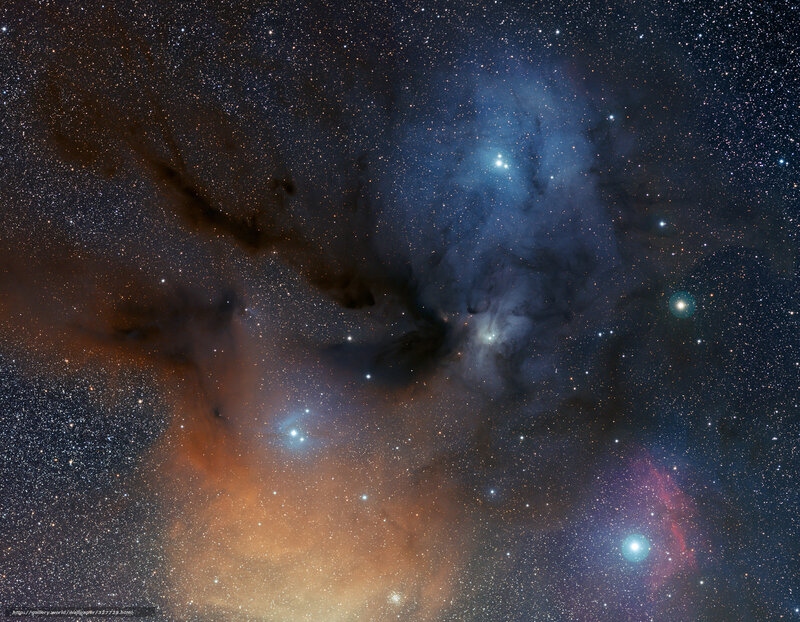 Orion Nebula Region — Blue