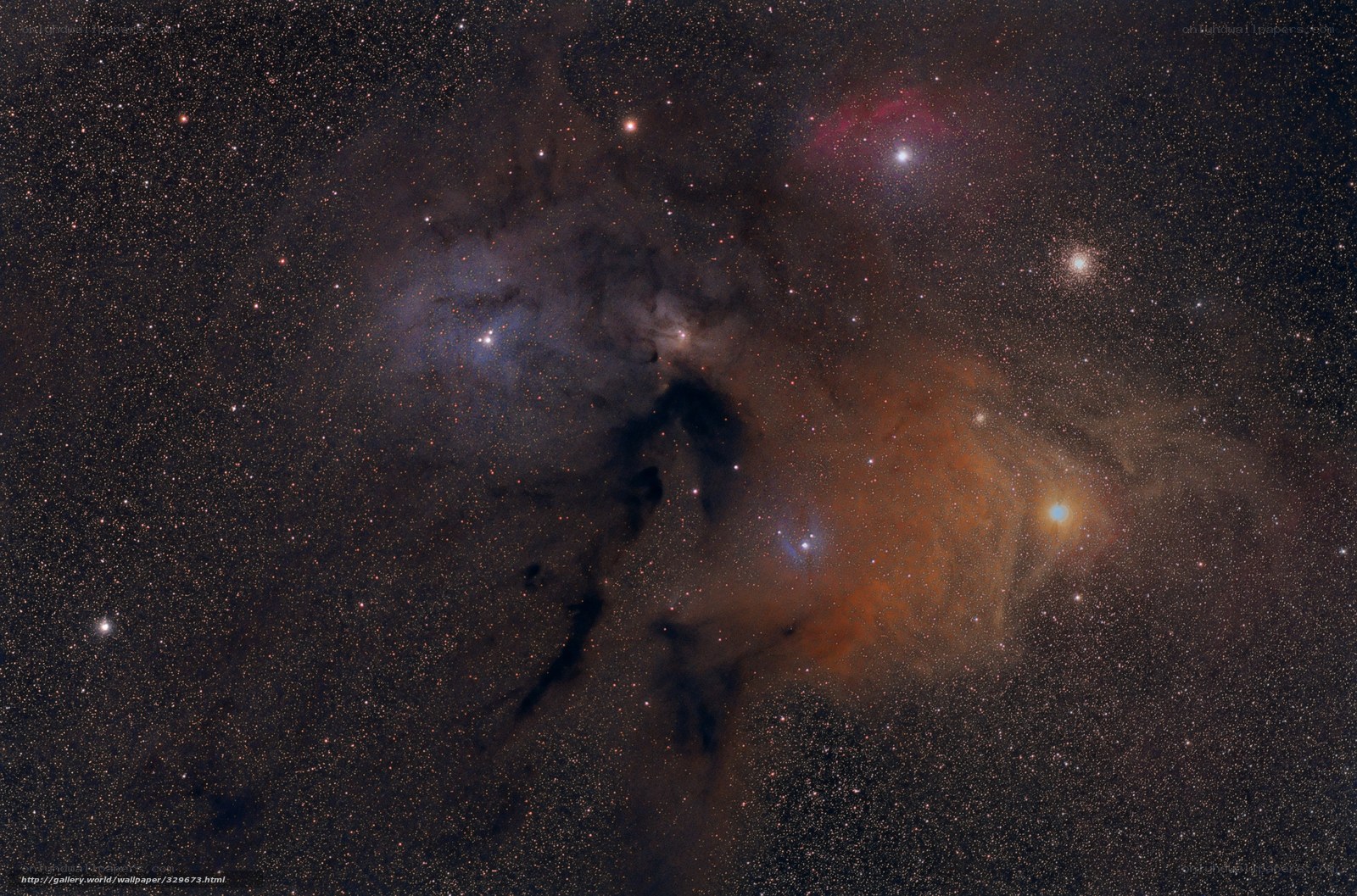 Orion Nebula region