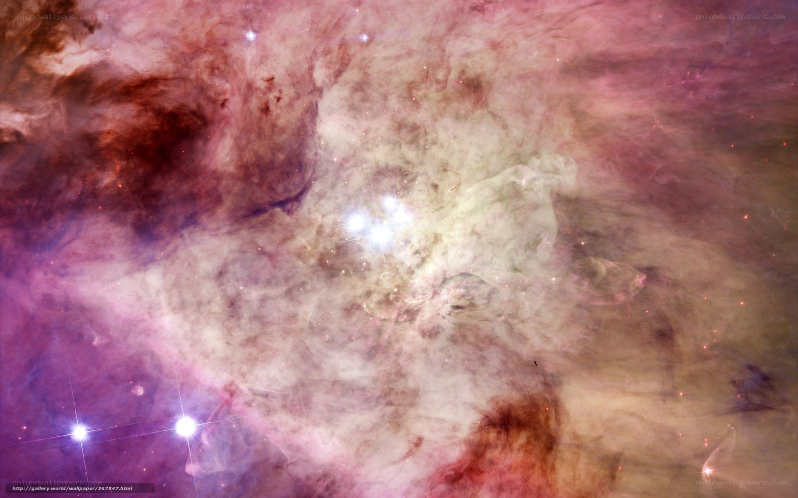 Orion Nebula star cluster