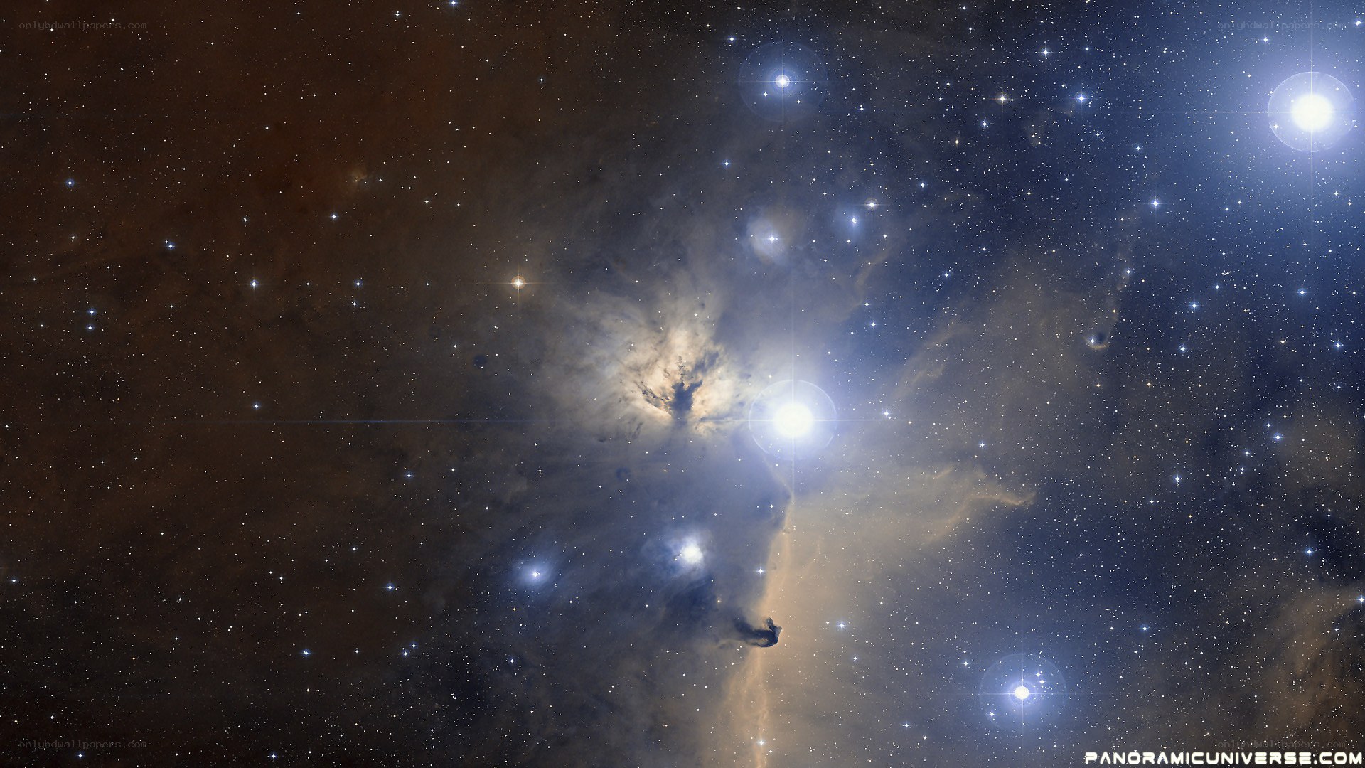 Orion Nebula star field