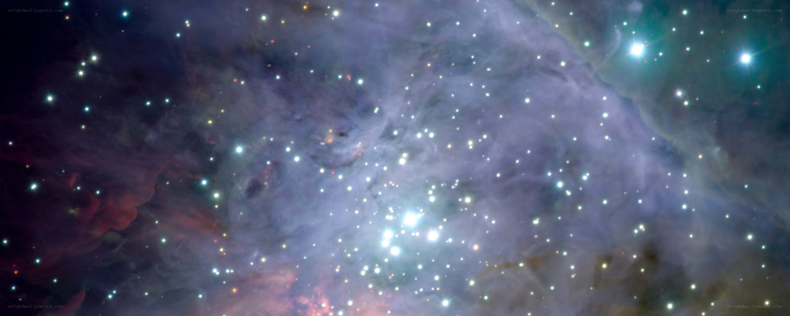 Orion Nebula star field