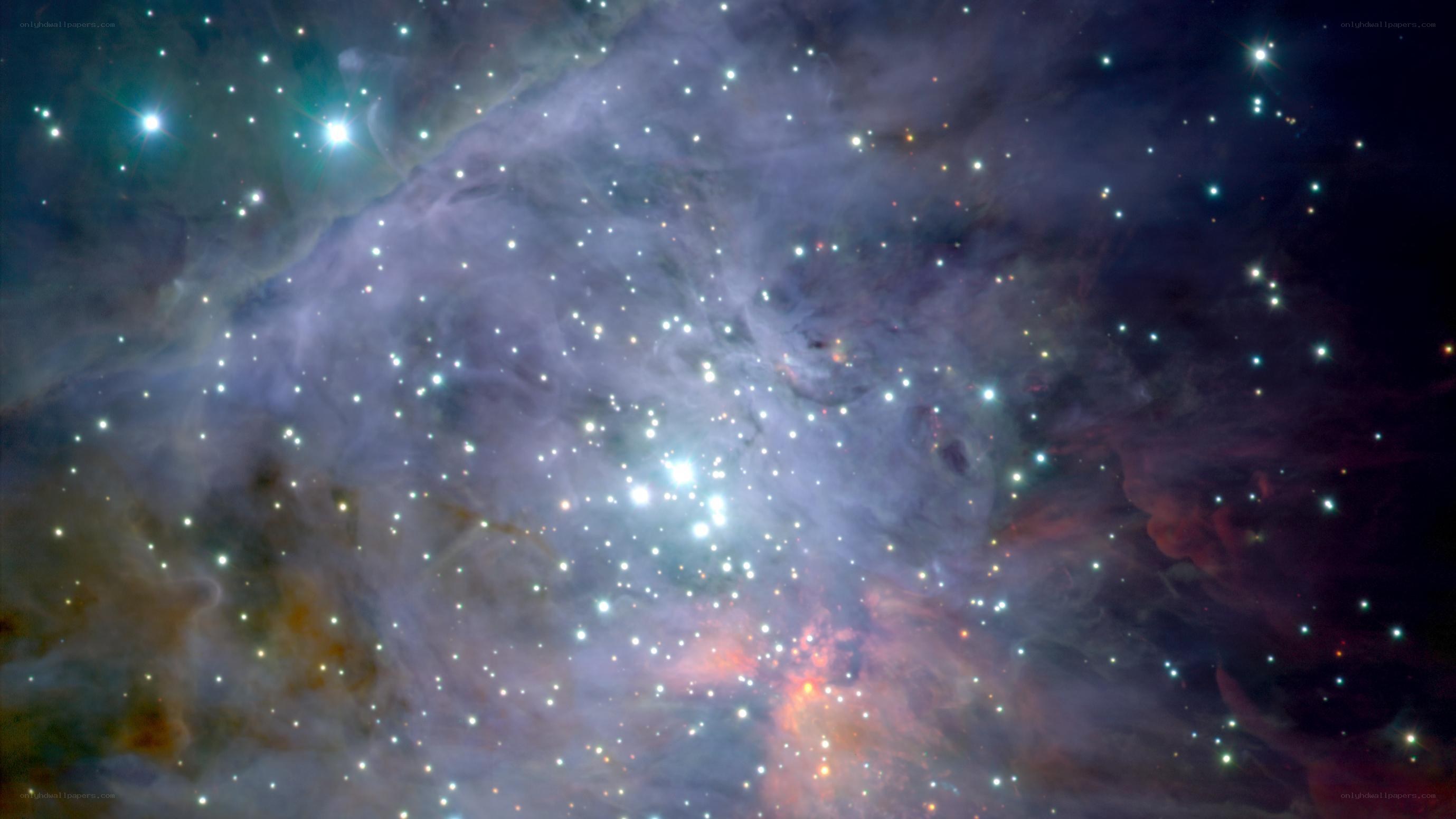 Orion Nebula star field