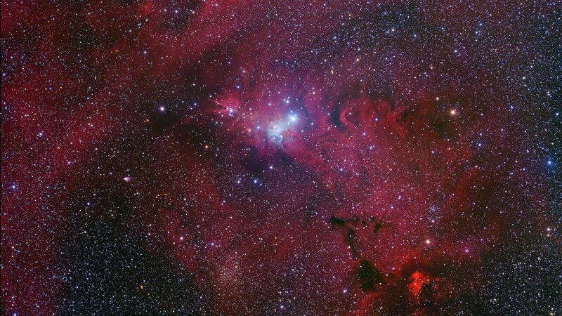 Orion Nebula star field