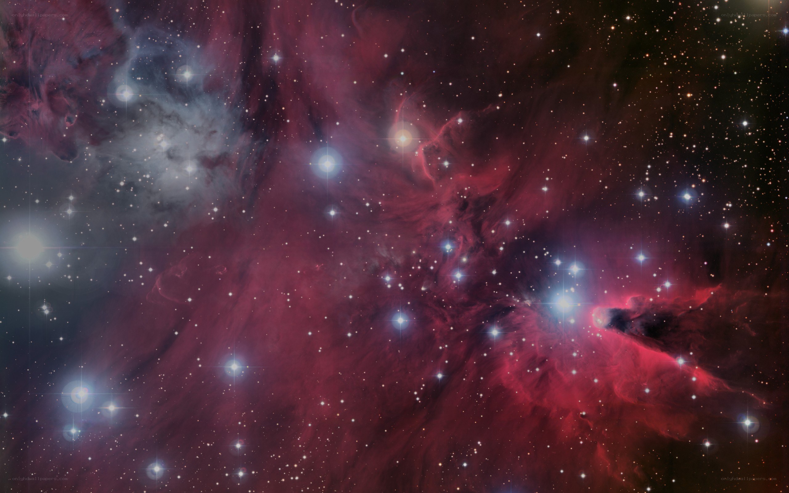 Orion Nebula star field