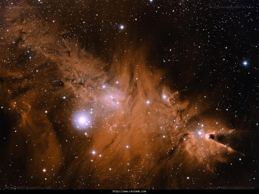 Orion Nebula star field
