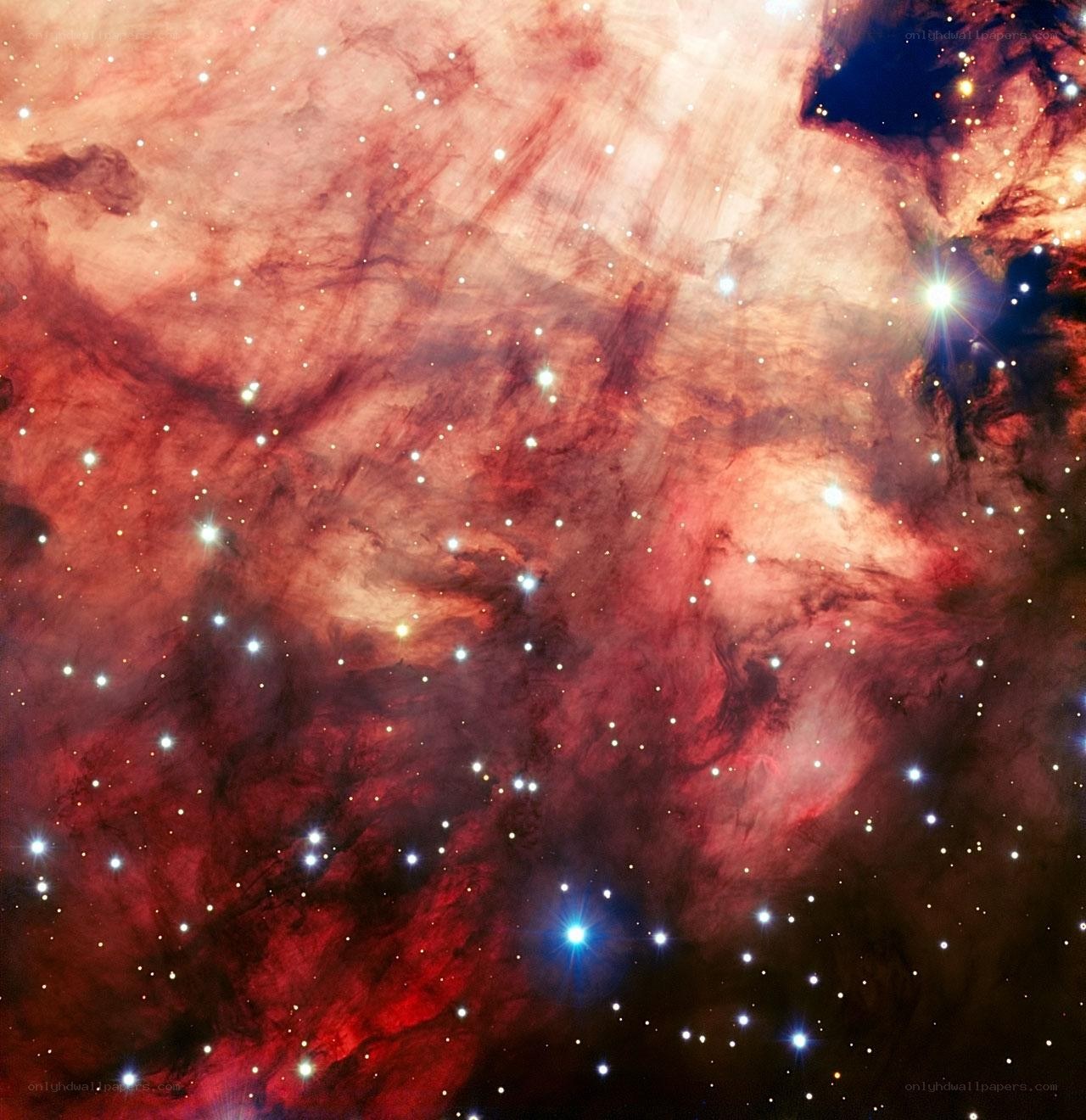 Orion Nebula star field