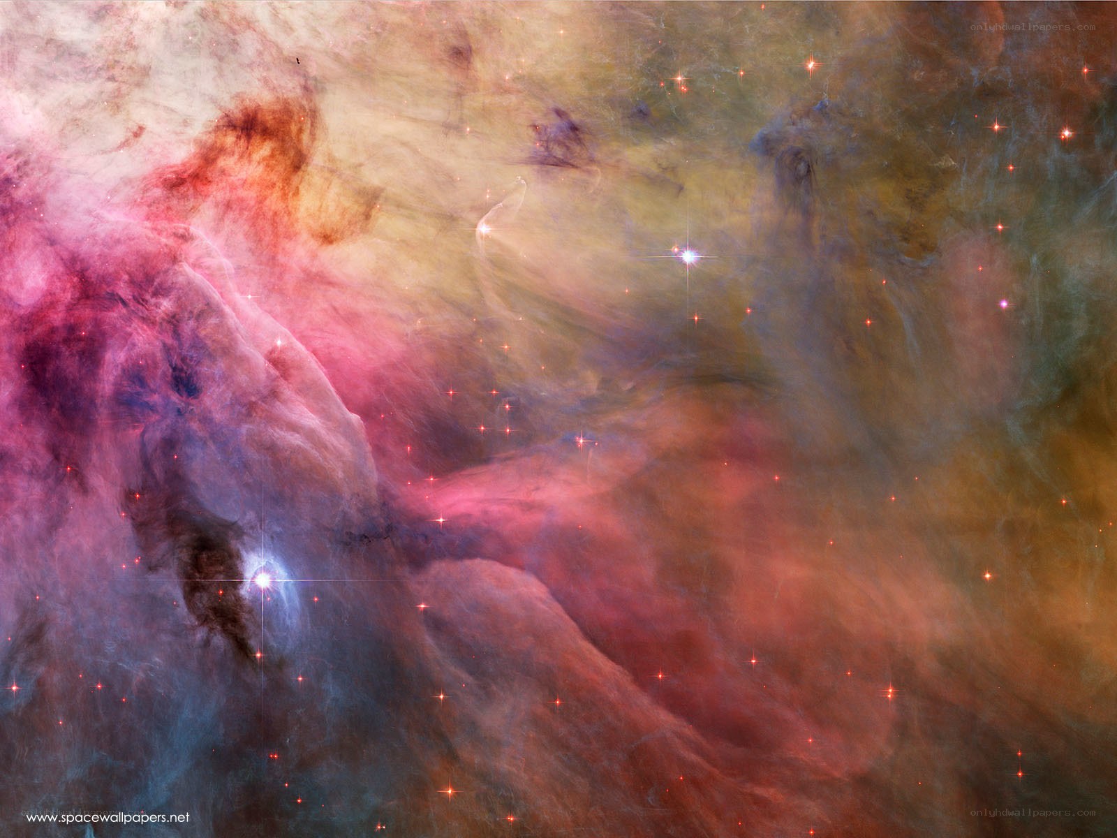 Orion Nebula star field