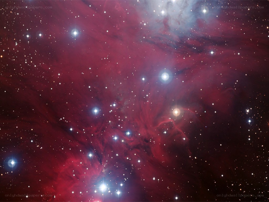 Orion Nebula star field