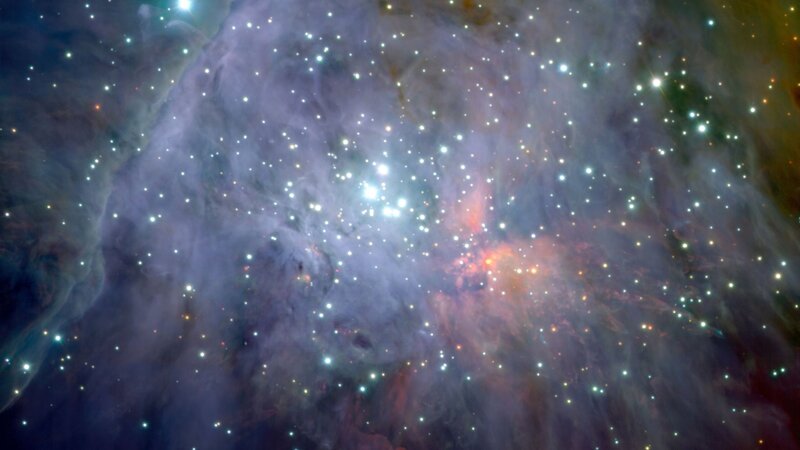 Orion Nebula star field