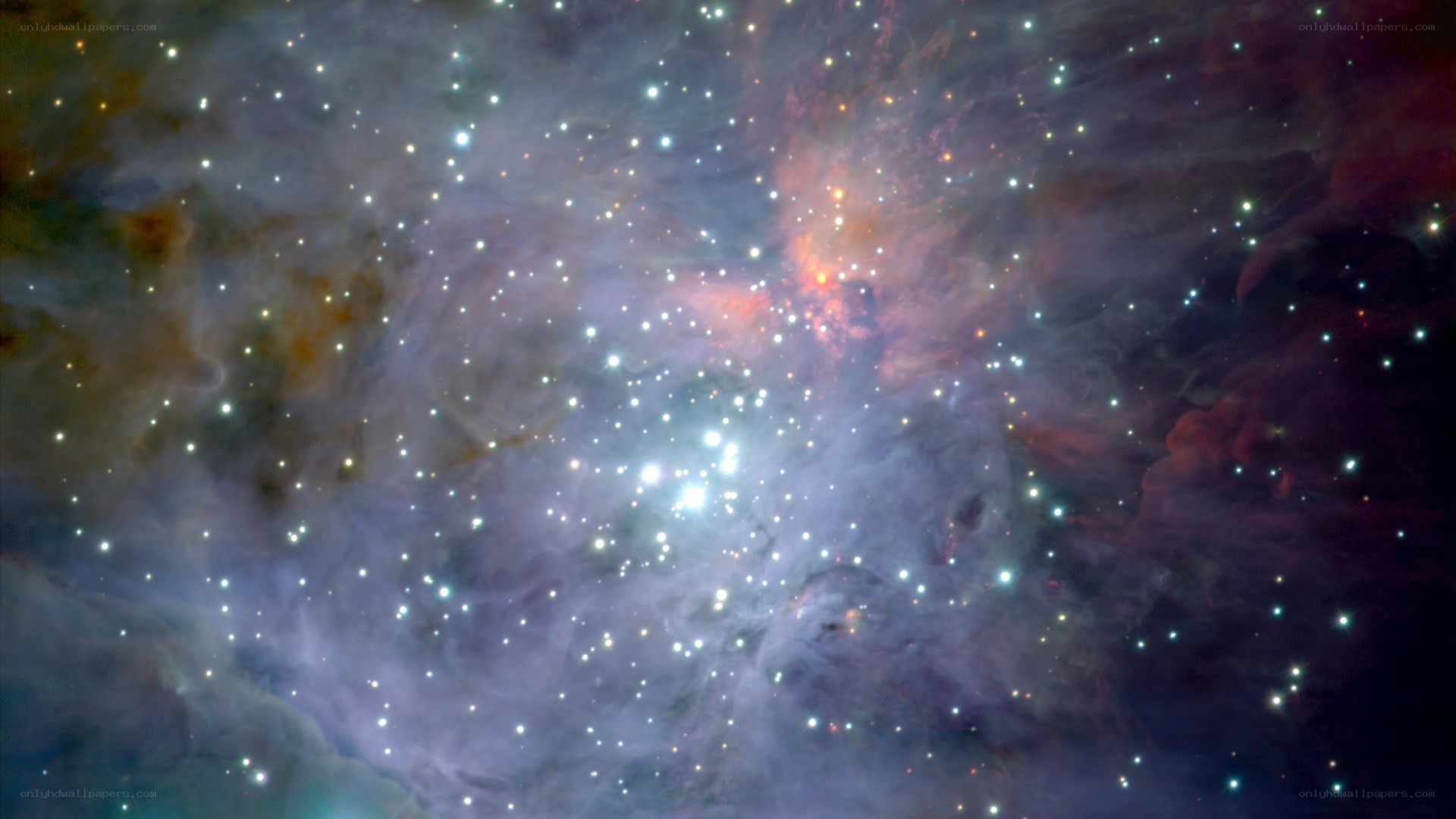 Orion Nebula star field