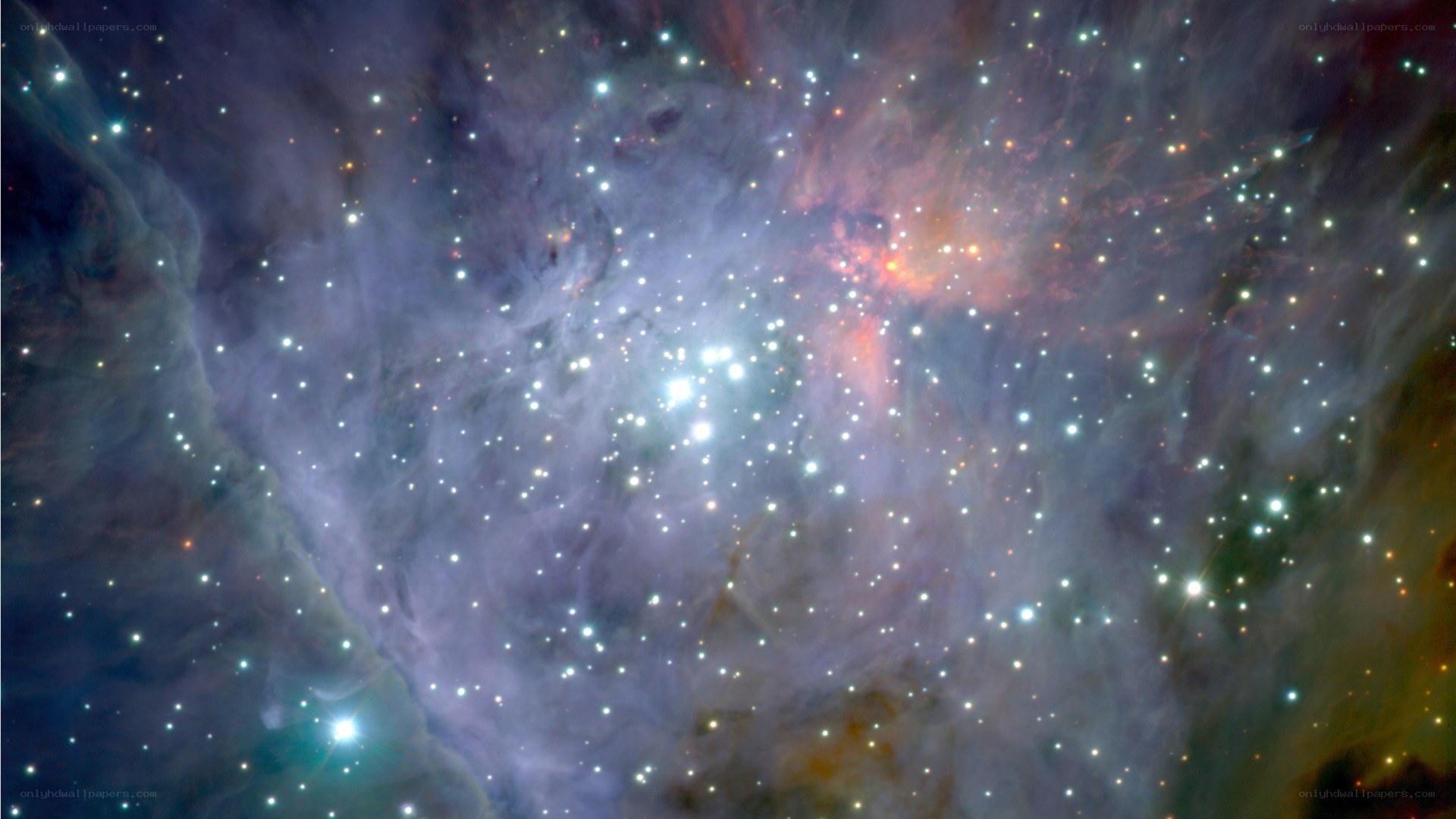Orion Nebula star field