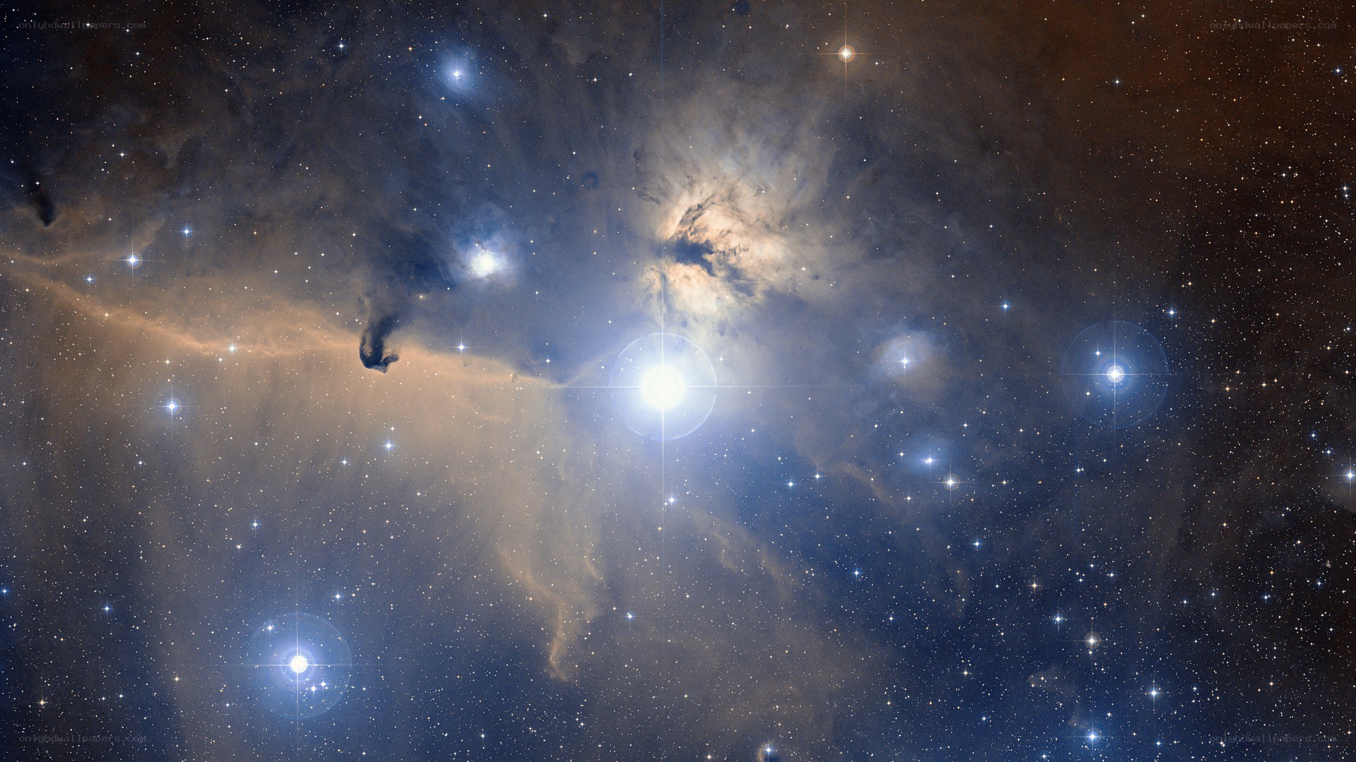 Orion Nebula star field