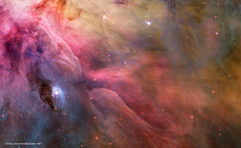 Orion Nebula star field