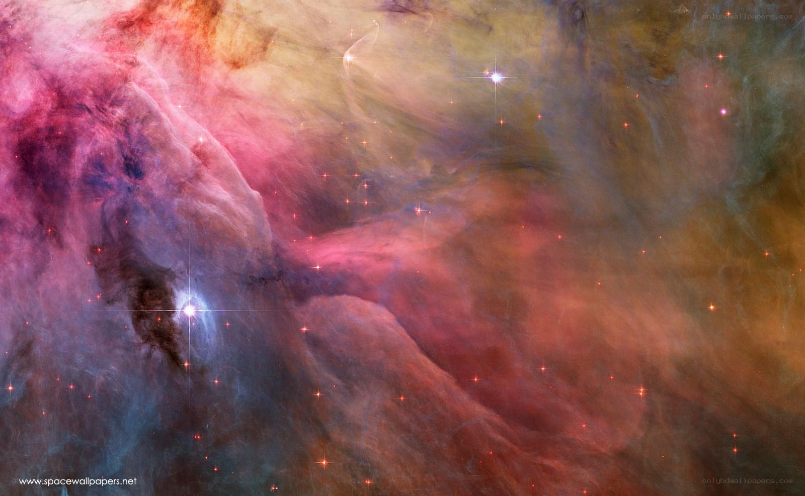 Orion Nebula star field