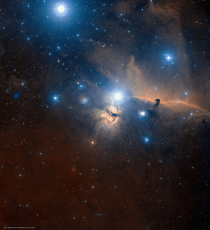 Orion Nebula Star Formation