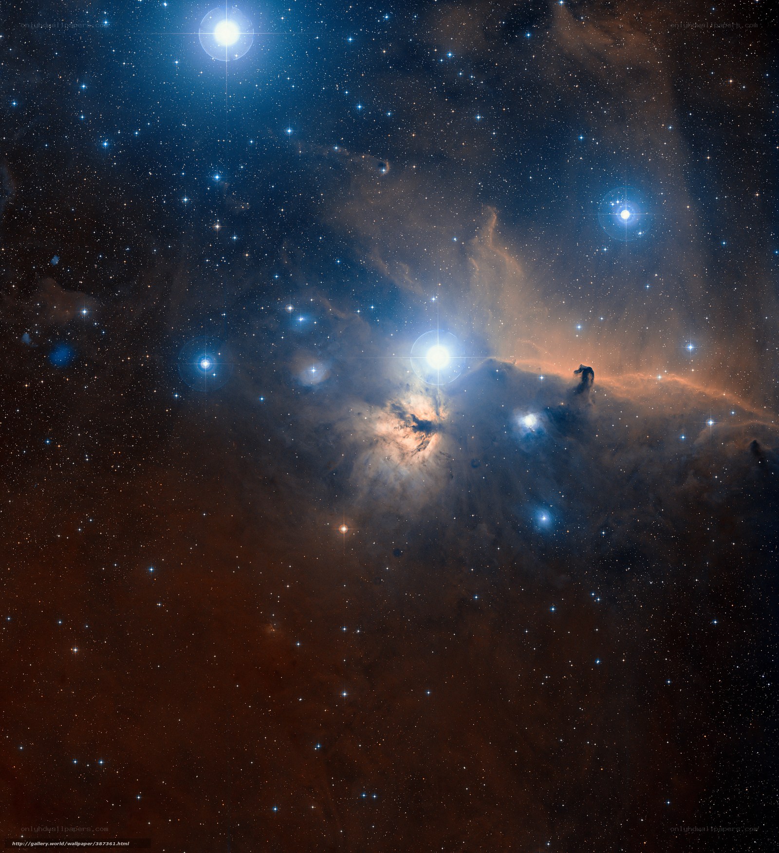 Orion Nebula Star Formation