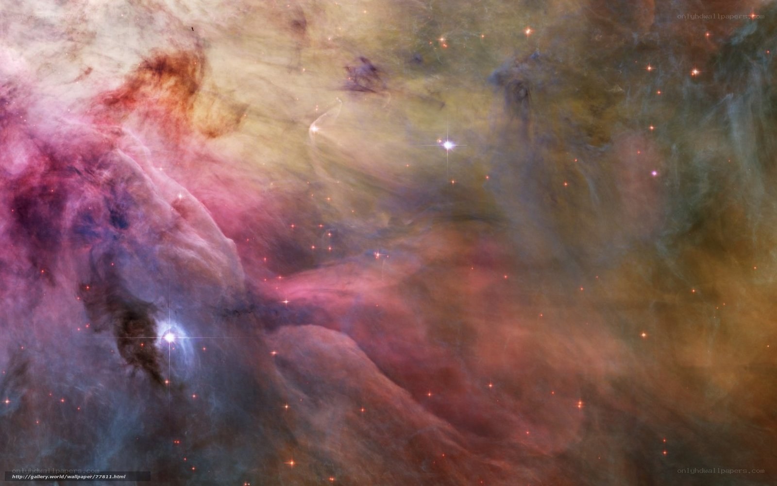 Orion Nebula star-forming region