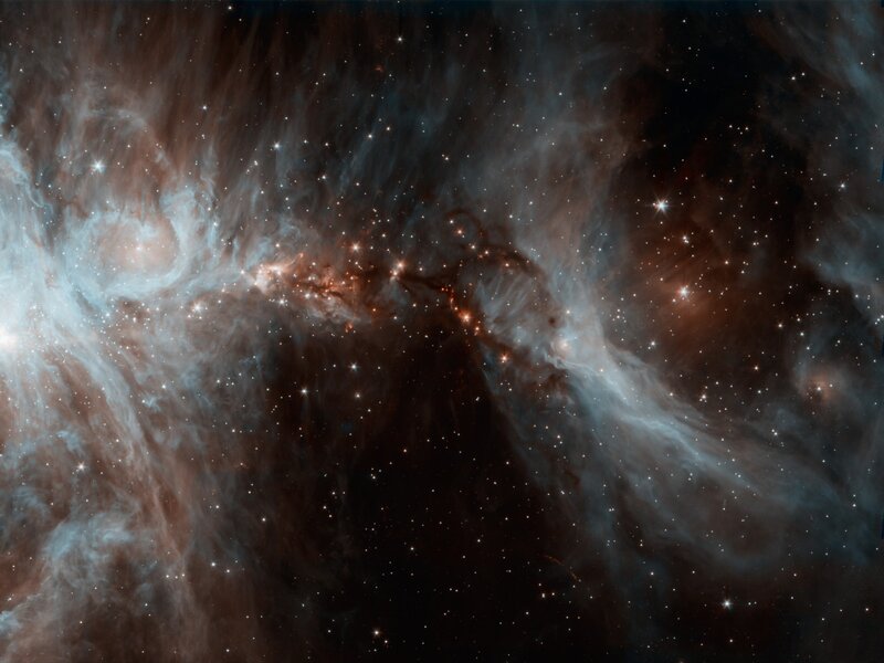 Orion Nebula — White, Cosmic, Night, Photograph