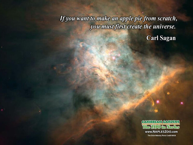 Orion Nebula with Quote
