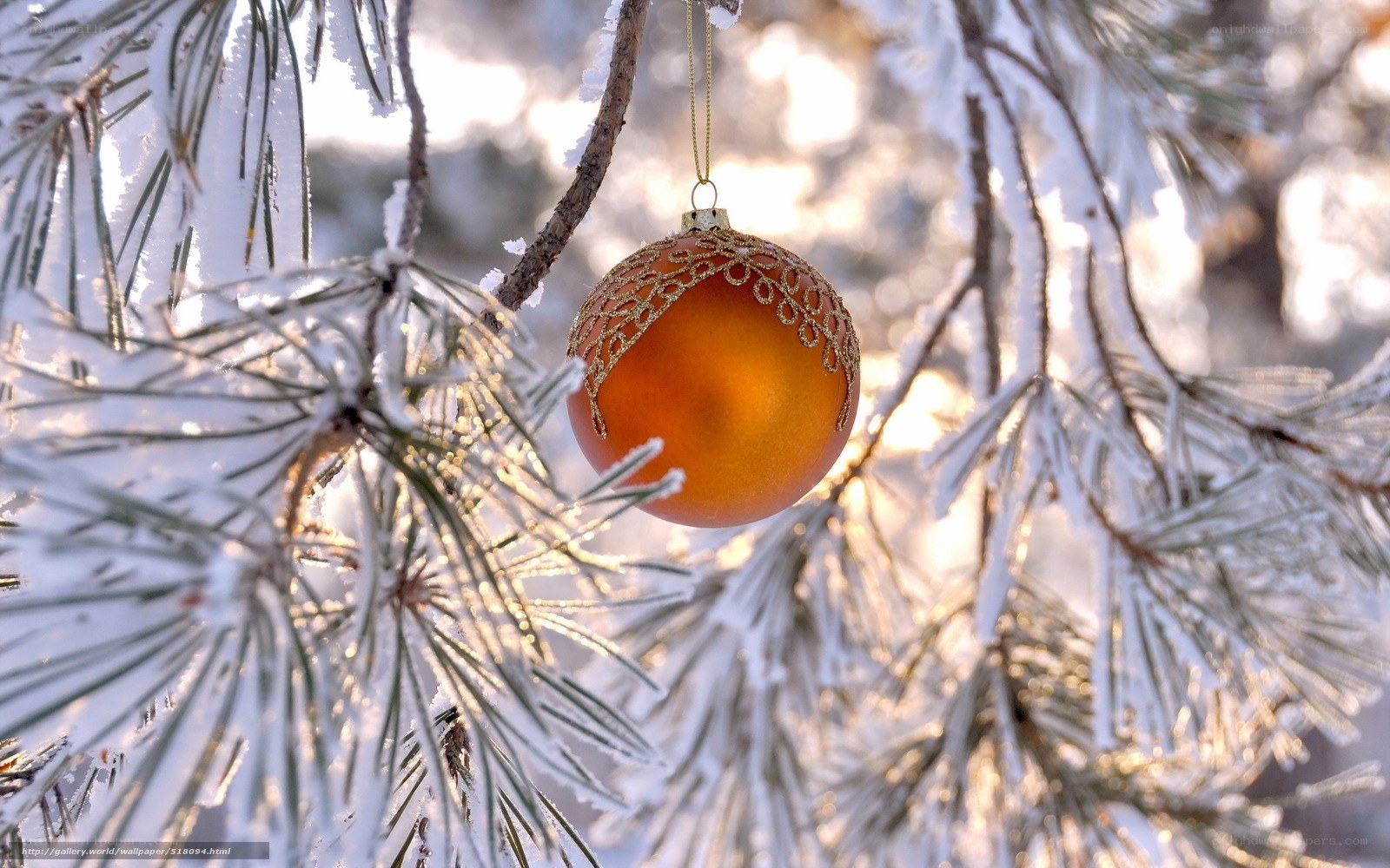 Ornament on snowy pine branch