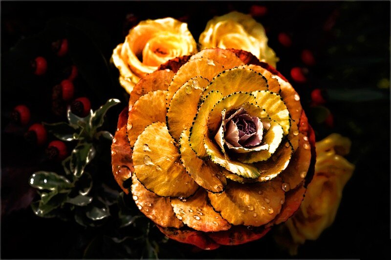 Ornamental Cabbage Flower — Yellow