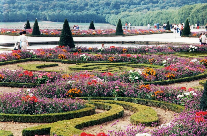 Ornamental Garden — Purple