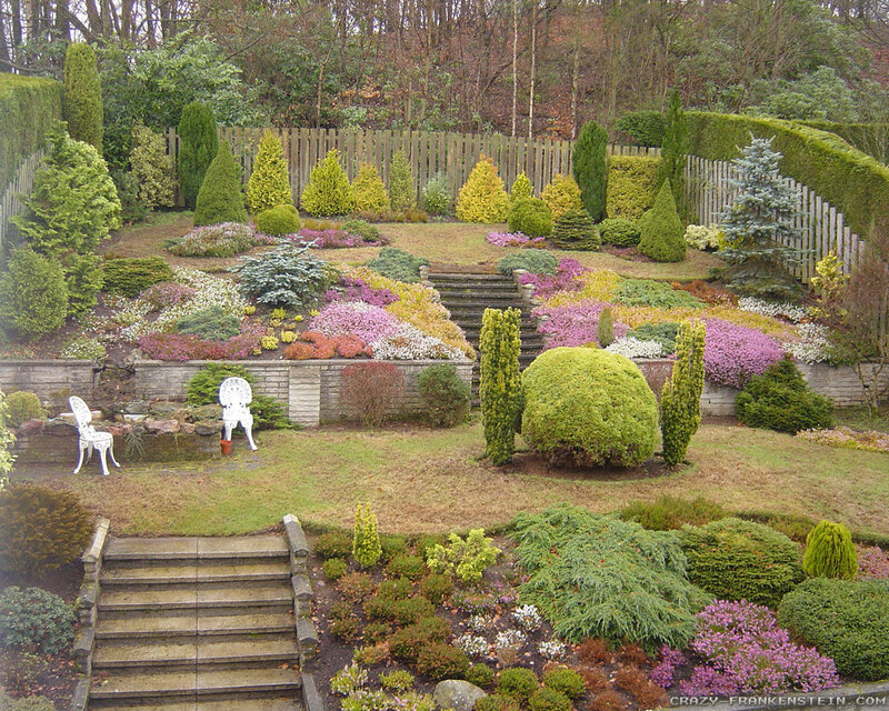 Ornamental Garden