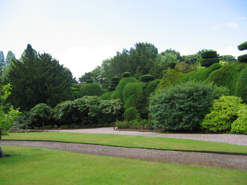ornamental garden with topiary