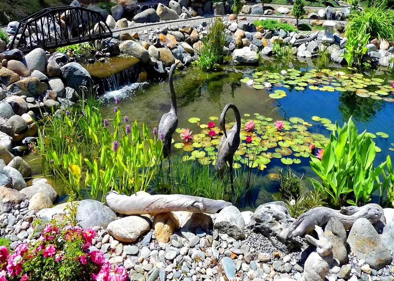 Ornamental Pond with Birds