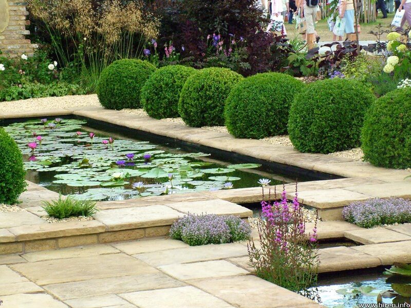 Ornamental Pond with Lilies