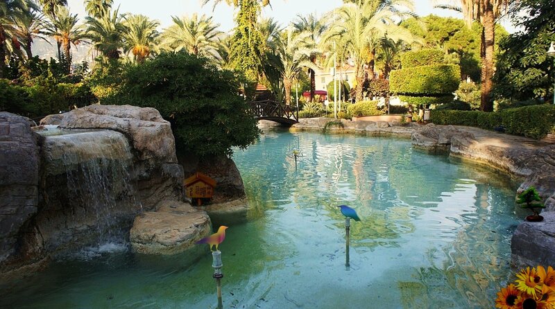 Ornamental Pond with Waterfall