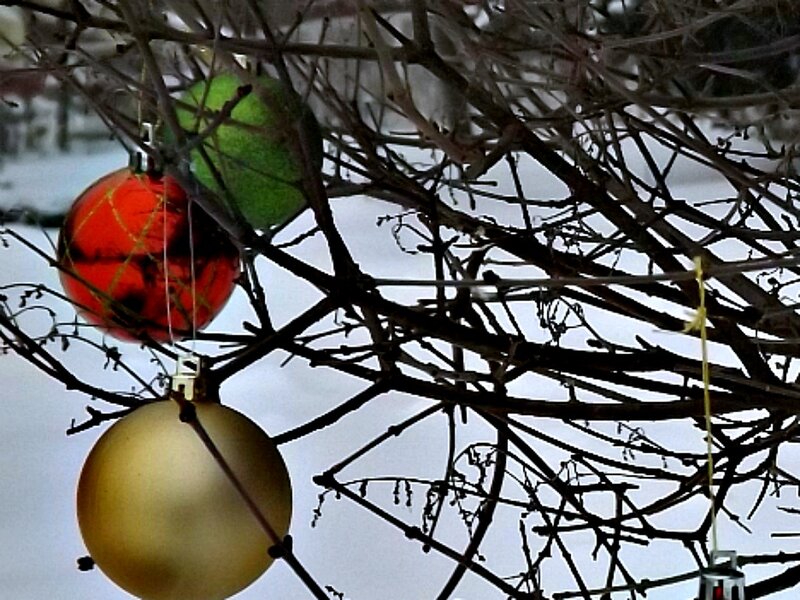 Ornaments on Bare Branches