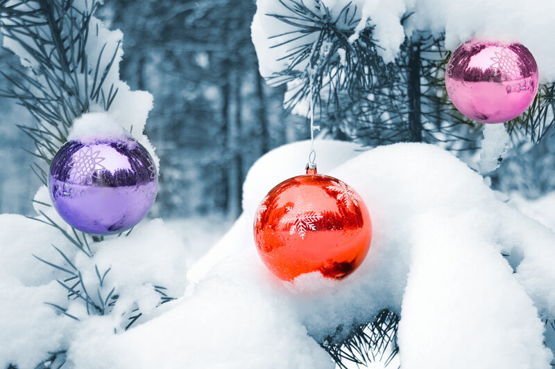 Ornaments on Pine Branch — White