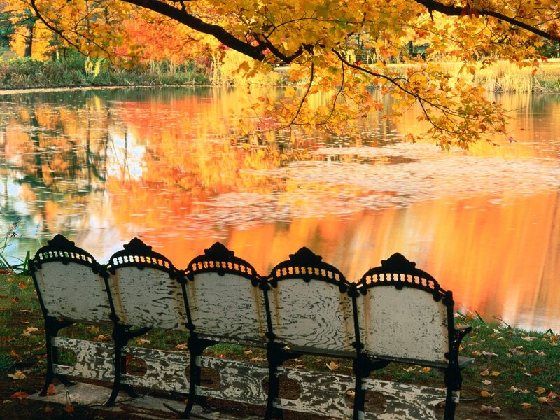 Ornate Bench by Lake — Orange