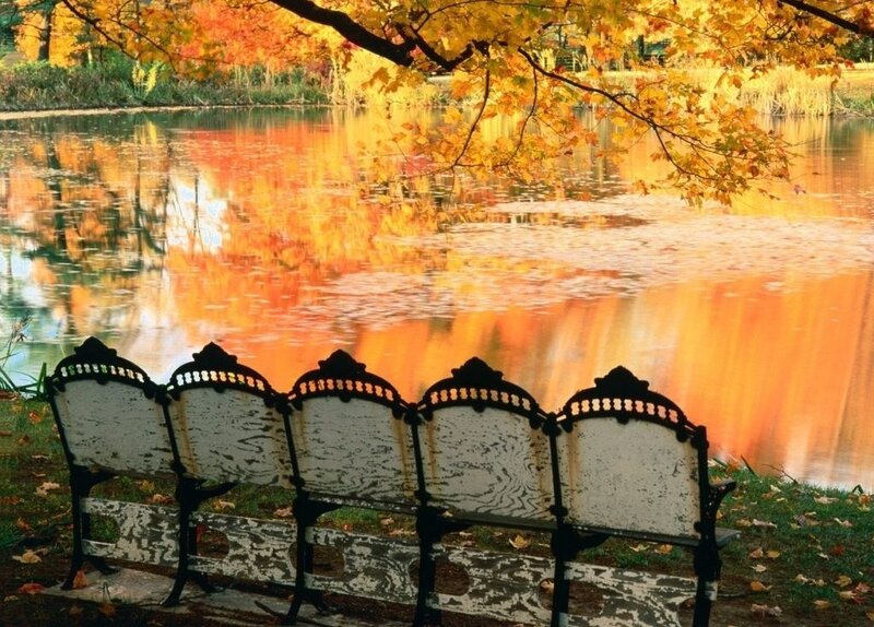 Ornate Bench by Lake