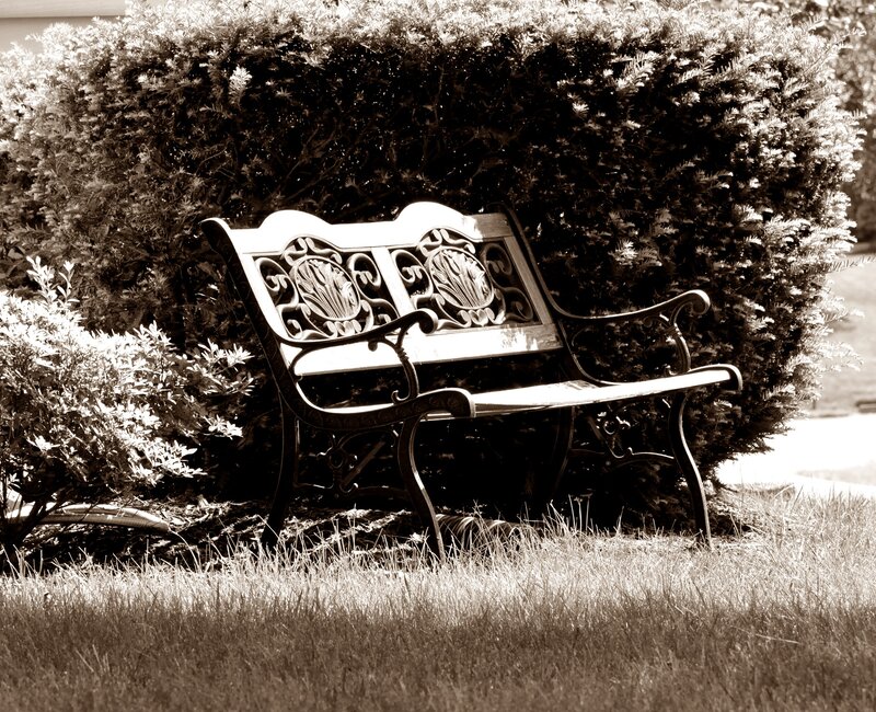 Ornate Bench in Garden — Brown