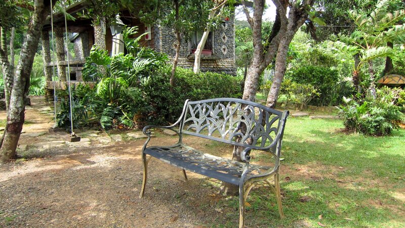 Ornate Bench in Garden — Green, Serene, Afternoon, Photograph