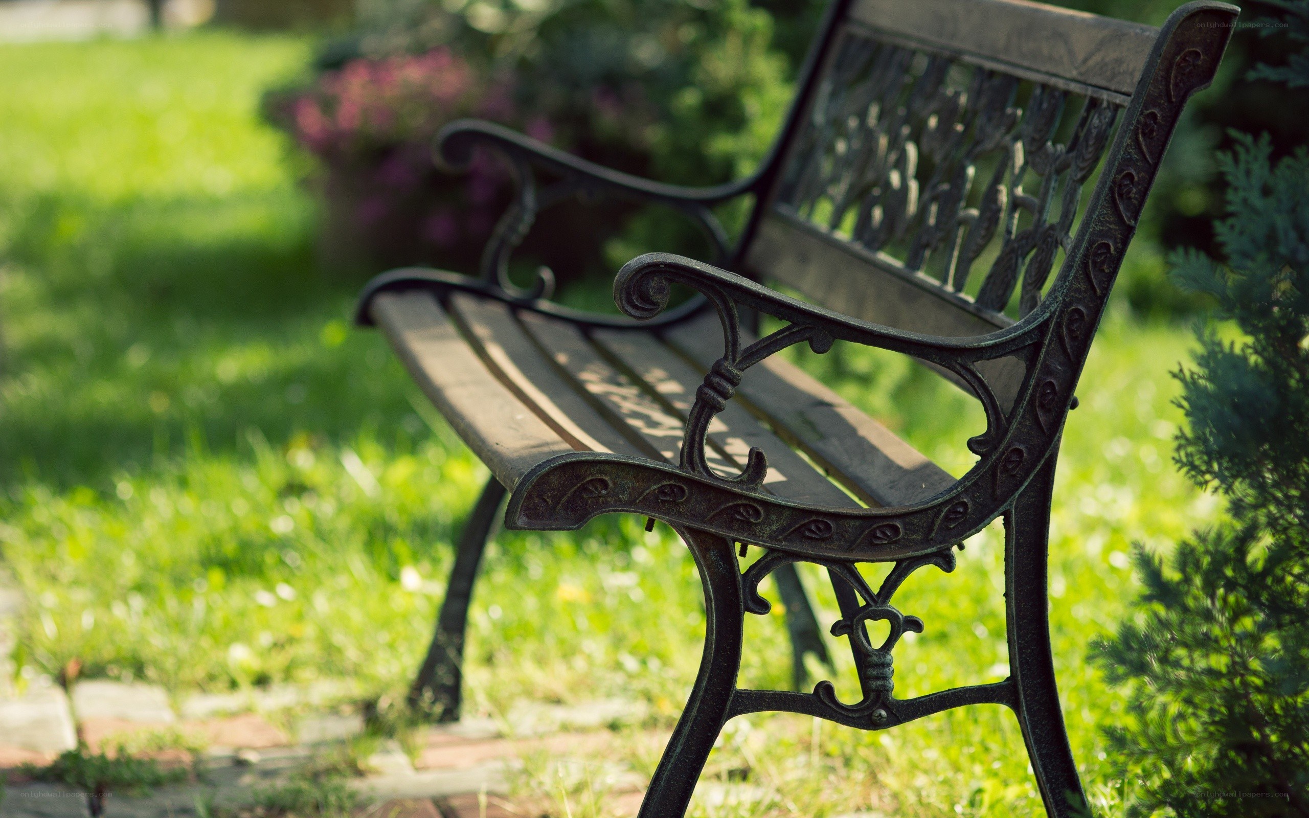 ornate bench in garden