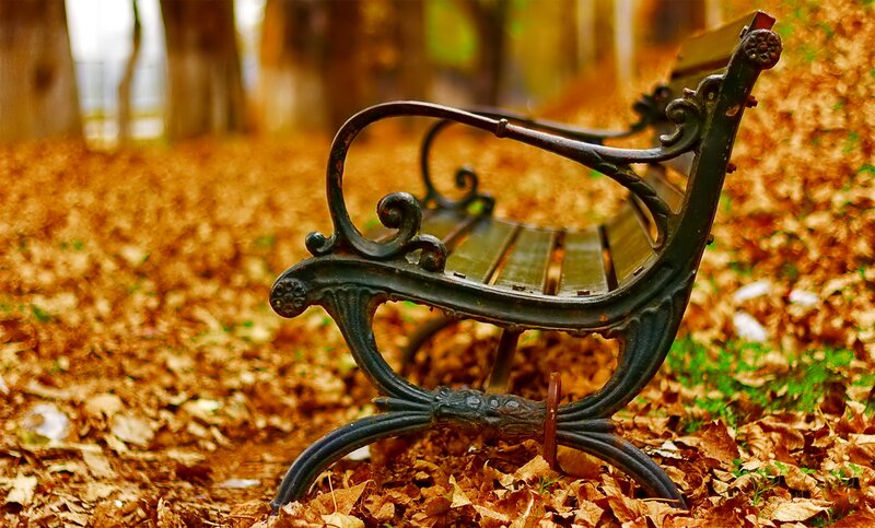 Ornate Bench in Leaves
